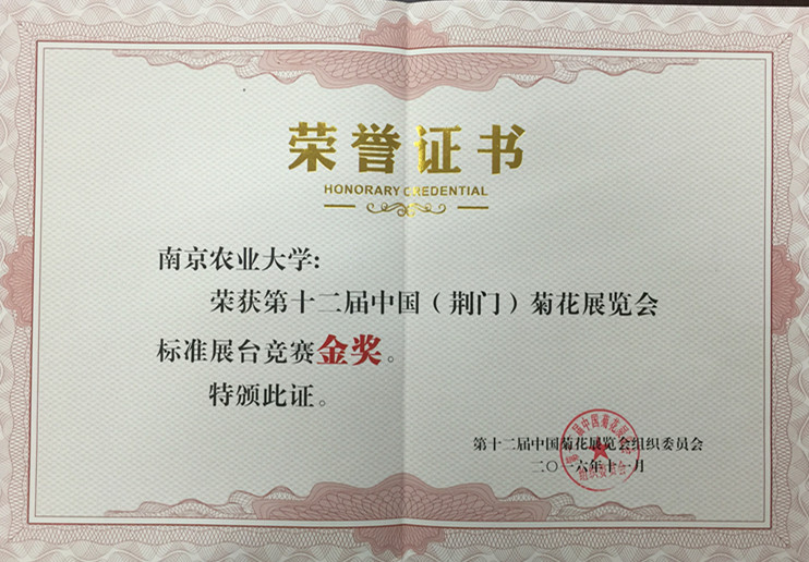 标准展台竞赛 金奖_副本