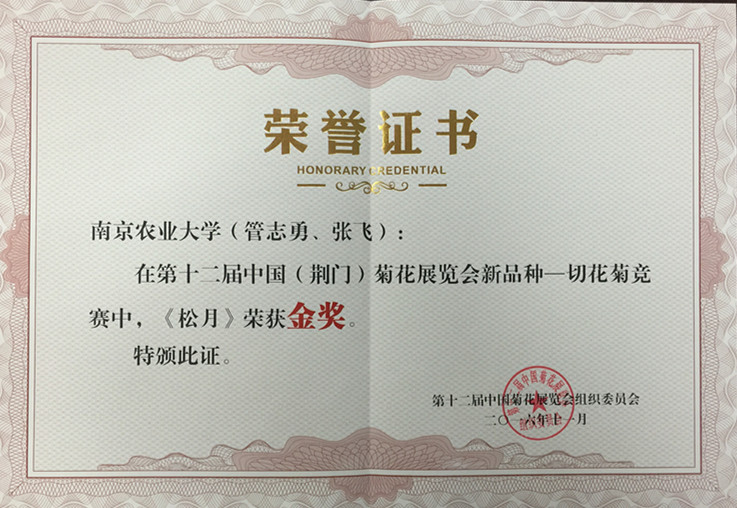 松月 金奖_副本