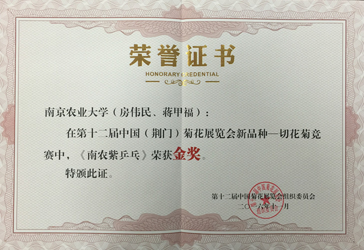 南农紫乒乓 金奖_副本